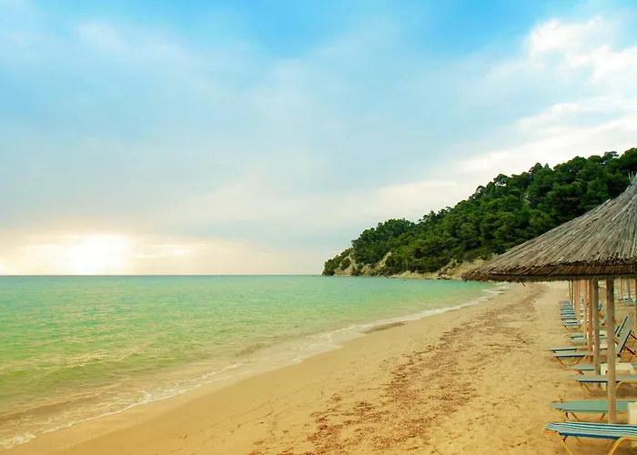 The 4 Travellers Halkidiki Siviri